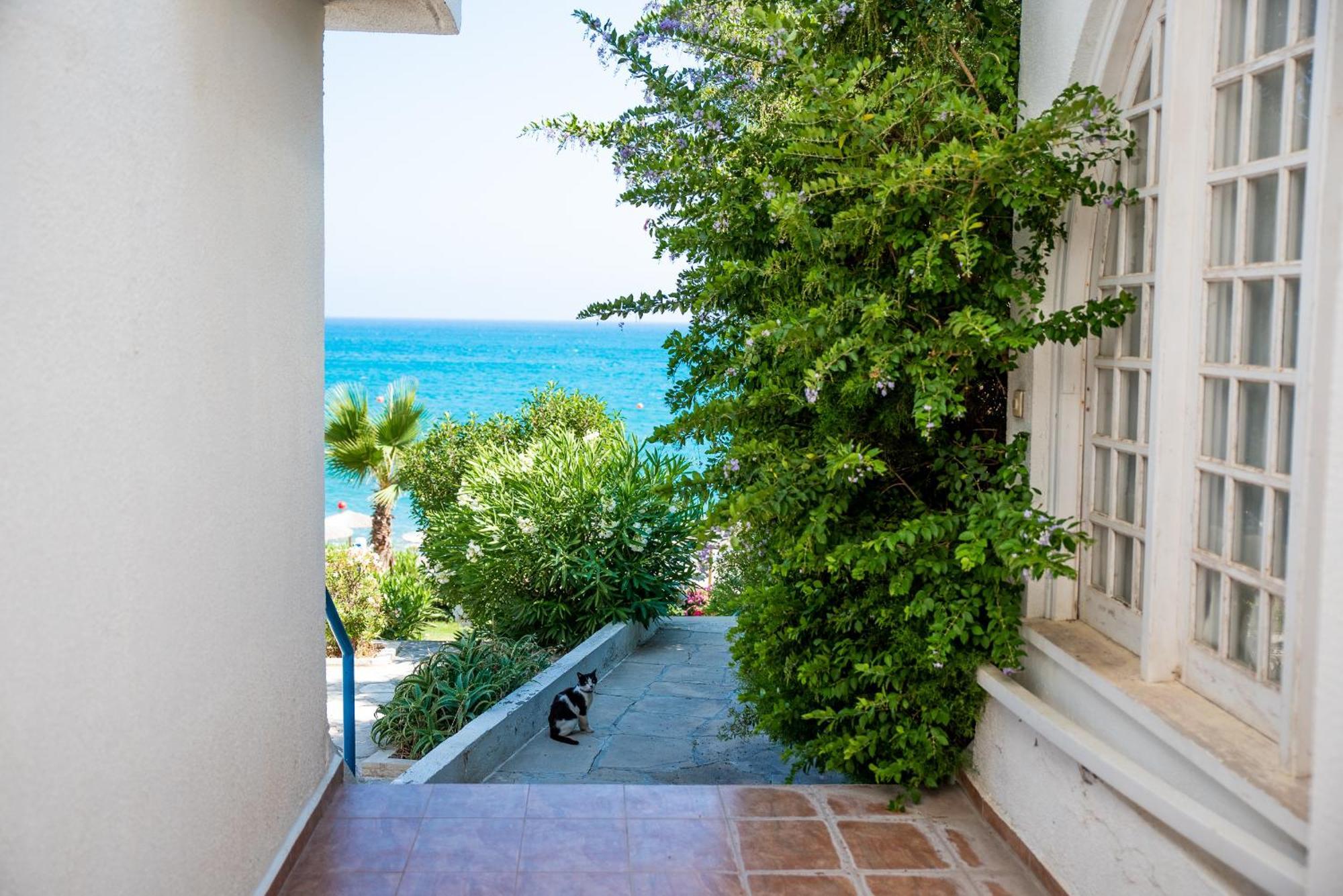 Pissouri Bay Studio Exterior photo
